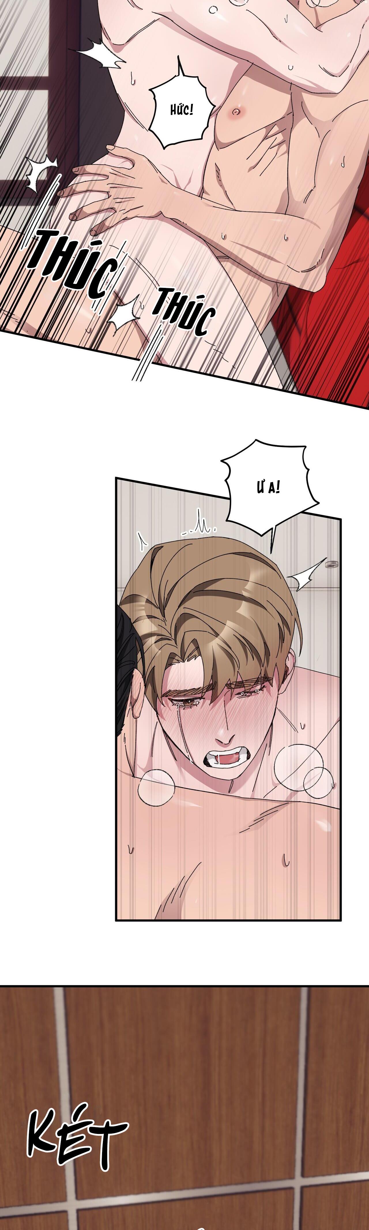 làm dâu nhà tài phiệt họ kang chapter 35 39