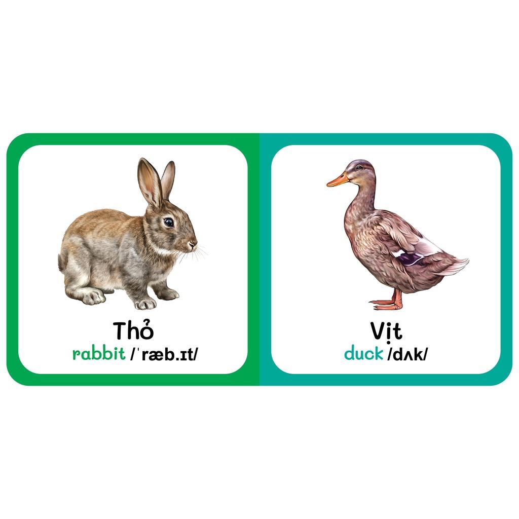 Sách - Baby'S First Picture Dictionary - Từ Điển Bằng Hình Đầu Tiên Của Bé - Động vật Nuôi - Farm AniMals