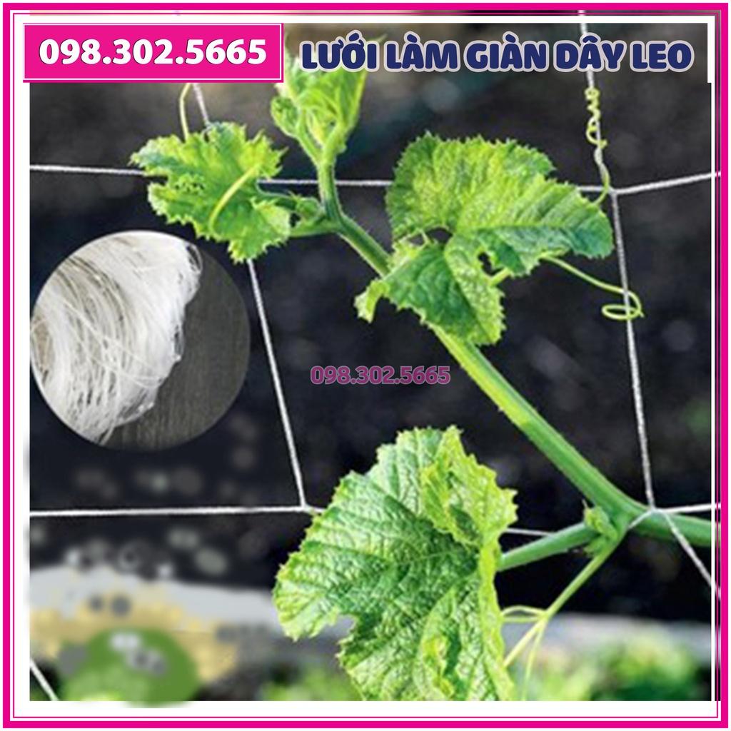 Lưới cước trắng làm giàn dưa leo dưa chuột, mướp, đậu kích thước 1.8 x 100m