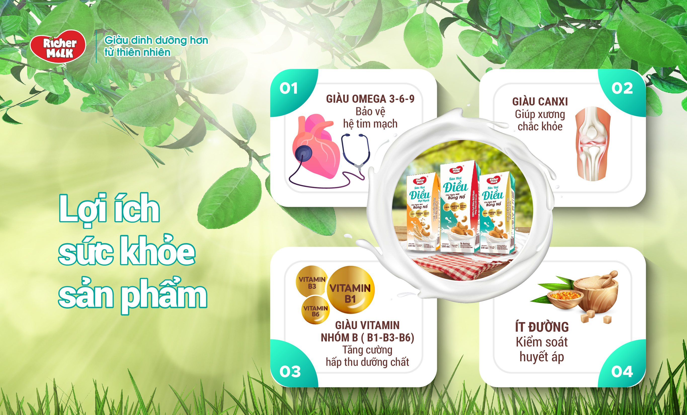 Lốc Sữa Hạt Điều Không Đường Richer Milk 180ml