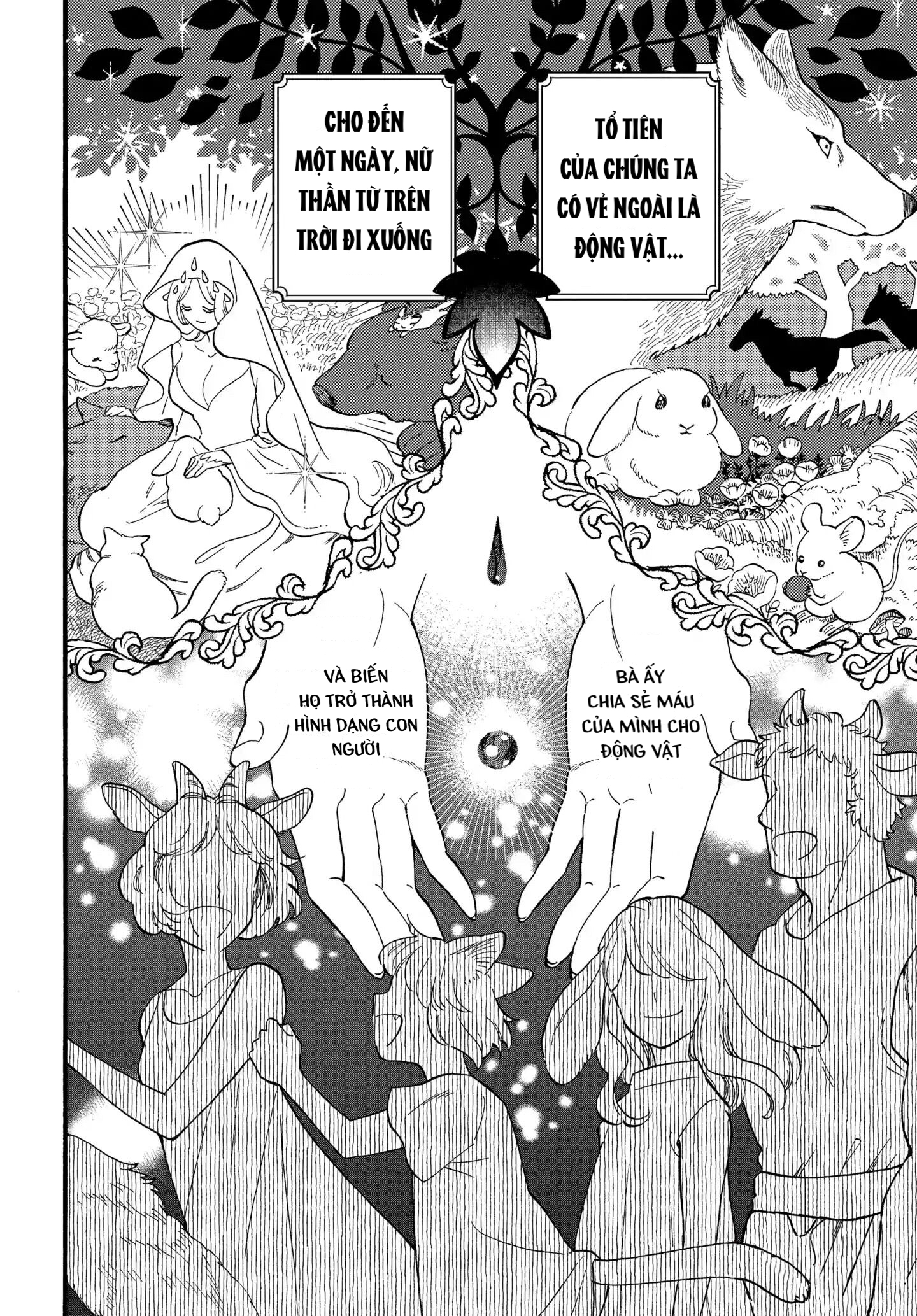 ngài sói và hầu gái thỏ chapter 2.1 11