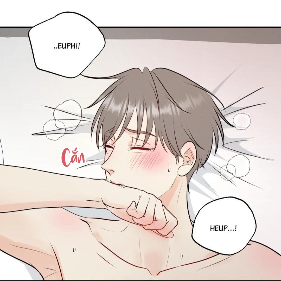 hạnh phúc trọn vẹn chapter 22 49