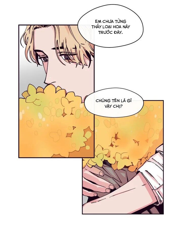 s flower - đóa hoa máu s chapter 1 10