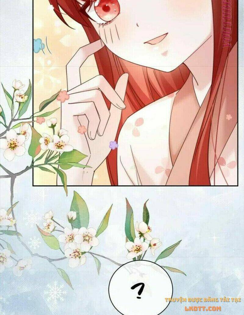 hắc hóa nam chính trực tuyến nuôi thỏ chapter 55 13