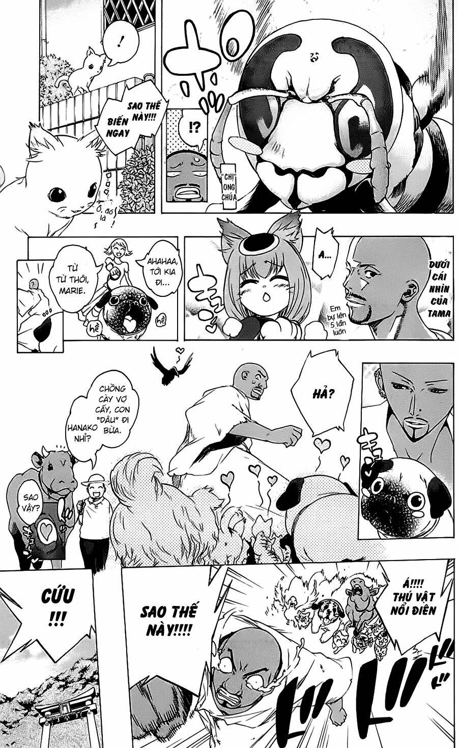 binbougami ga! chapter 24 12