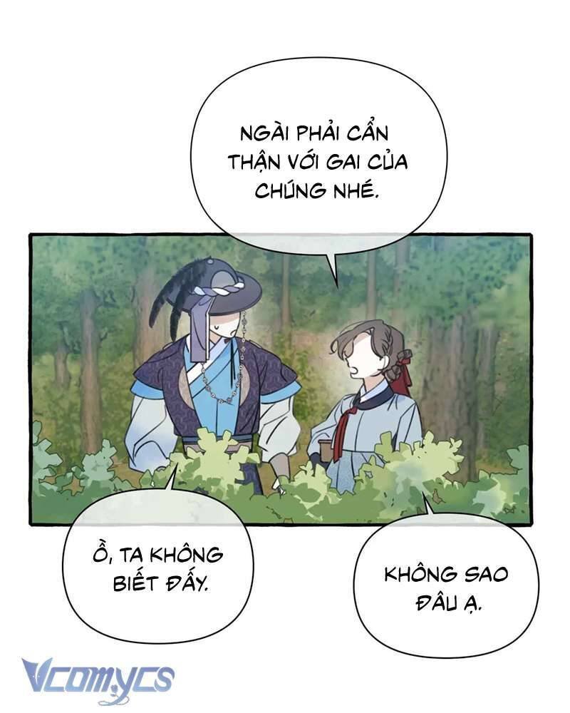 chuyện tình hoa lưu ly chapter 3 49