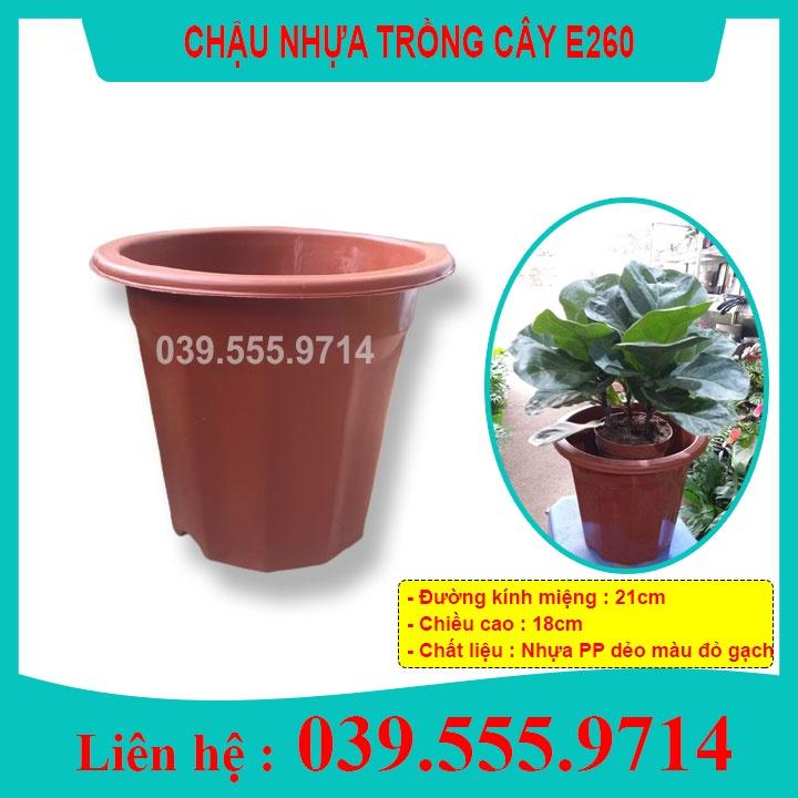 10 Chậu Nhựa Trồng Cây E260 - Chậu Nhựa Bền Đẹp Trồng Hoa Cây Cảnh