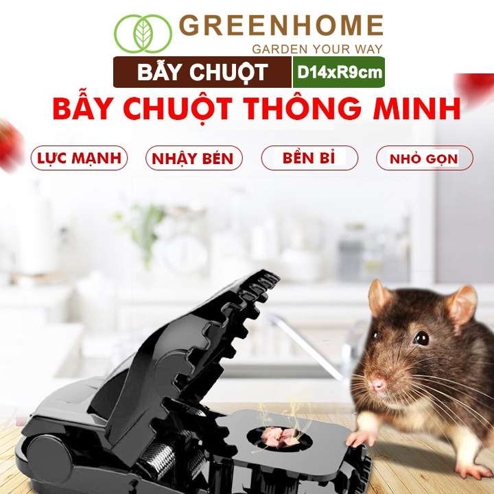 Bẫy Chuột Thông Minh Greenhome, D14xr9cm, Lò Xo Độ Nhạy Cao, Lực Gấp Mạnh, Dễ Dùng, Hiệu Quả Cao, Tái Sử Dụng Nhiều Lần