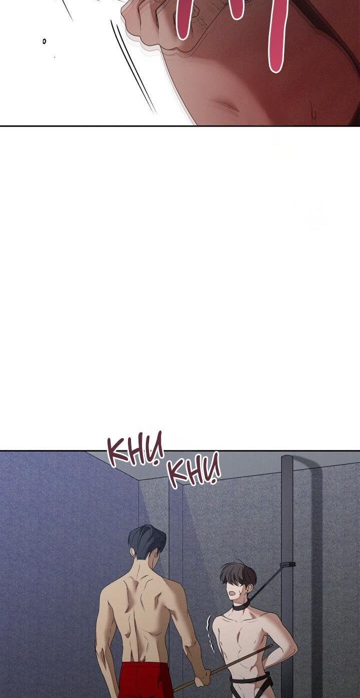 critical point chapter 51 62