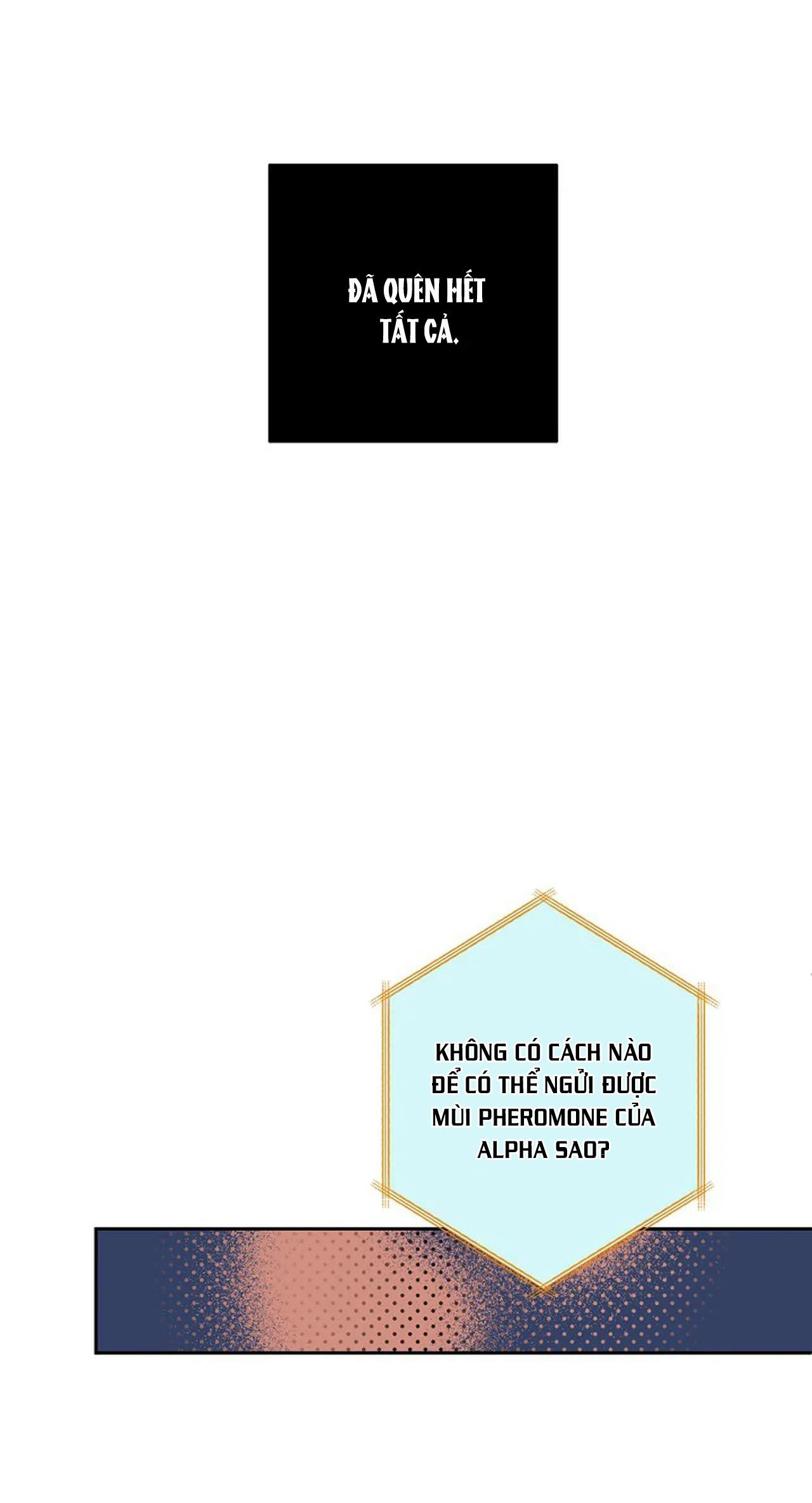 đêm dịu dàng chapter 16 27