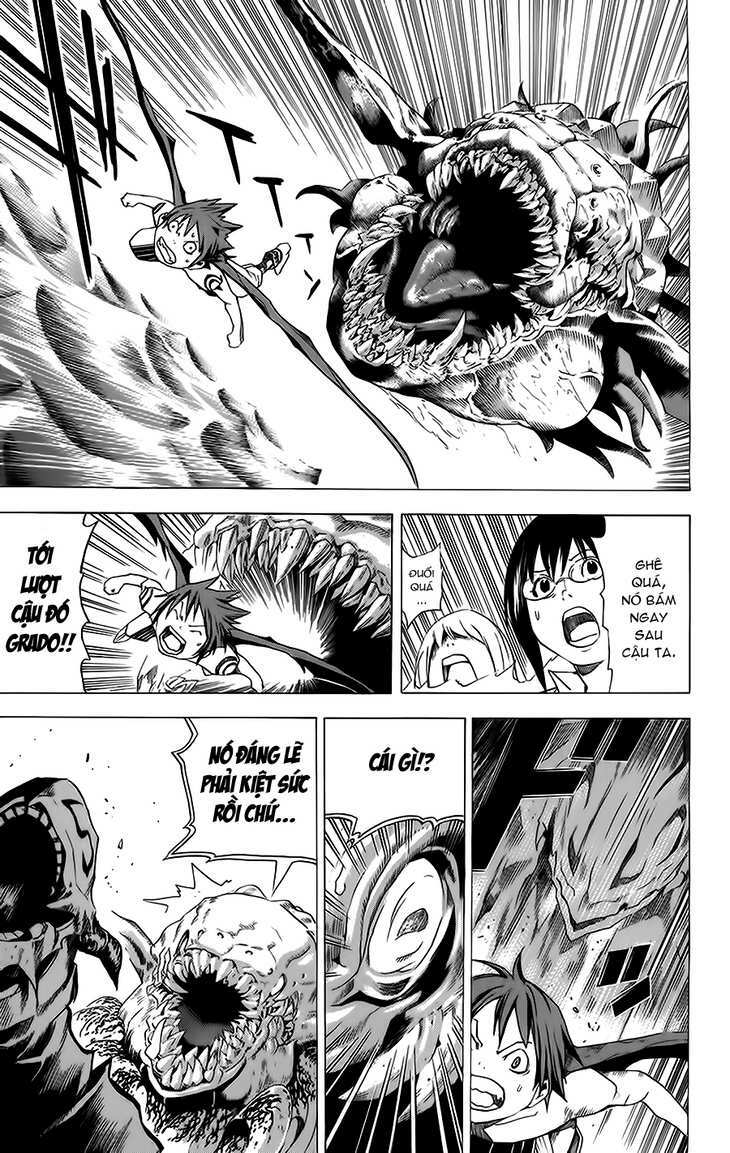 rồng xanh grado chapter 14 17