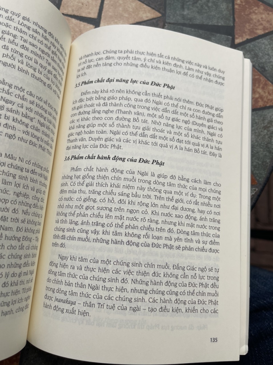 TRÍ TUỆ ĐỨC PHẬT – Cách đạt an bình thật sự – Tôn Sư Lama Thamthog Rinpoche – Tuệ Tri Books – NXB Tôn Giáo