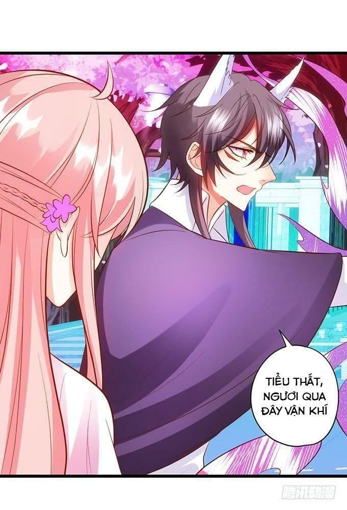 hồ tiên hung bạo chapter 95 19