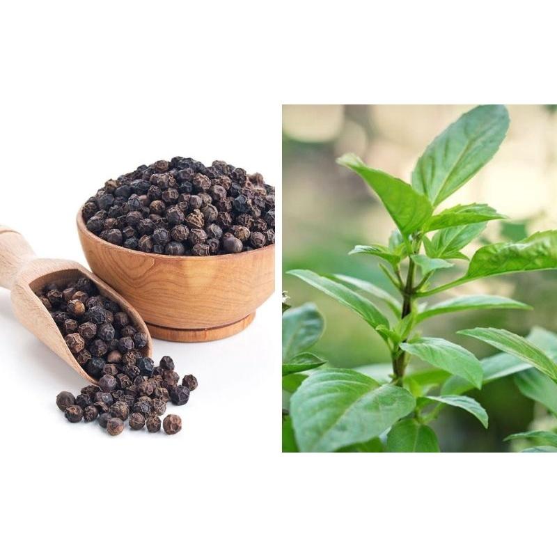 Hạt Giống Rau Húng Quế 10gr Dễ Trồng Sinh Trưởng Mạnh
