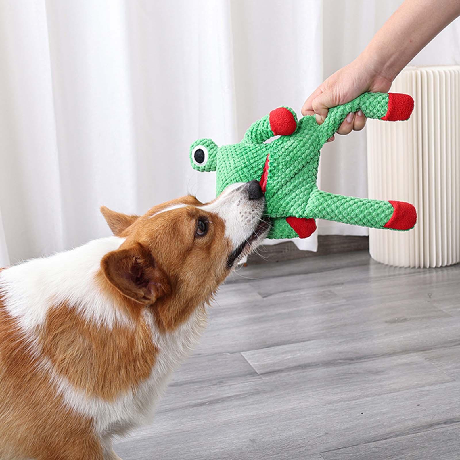 Dog Squeaky Chew Toy Sniffing Toy Foraging Instinct Pet Feeding Interactive