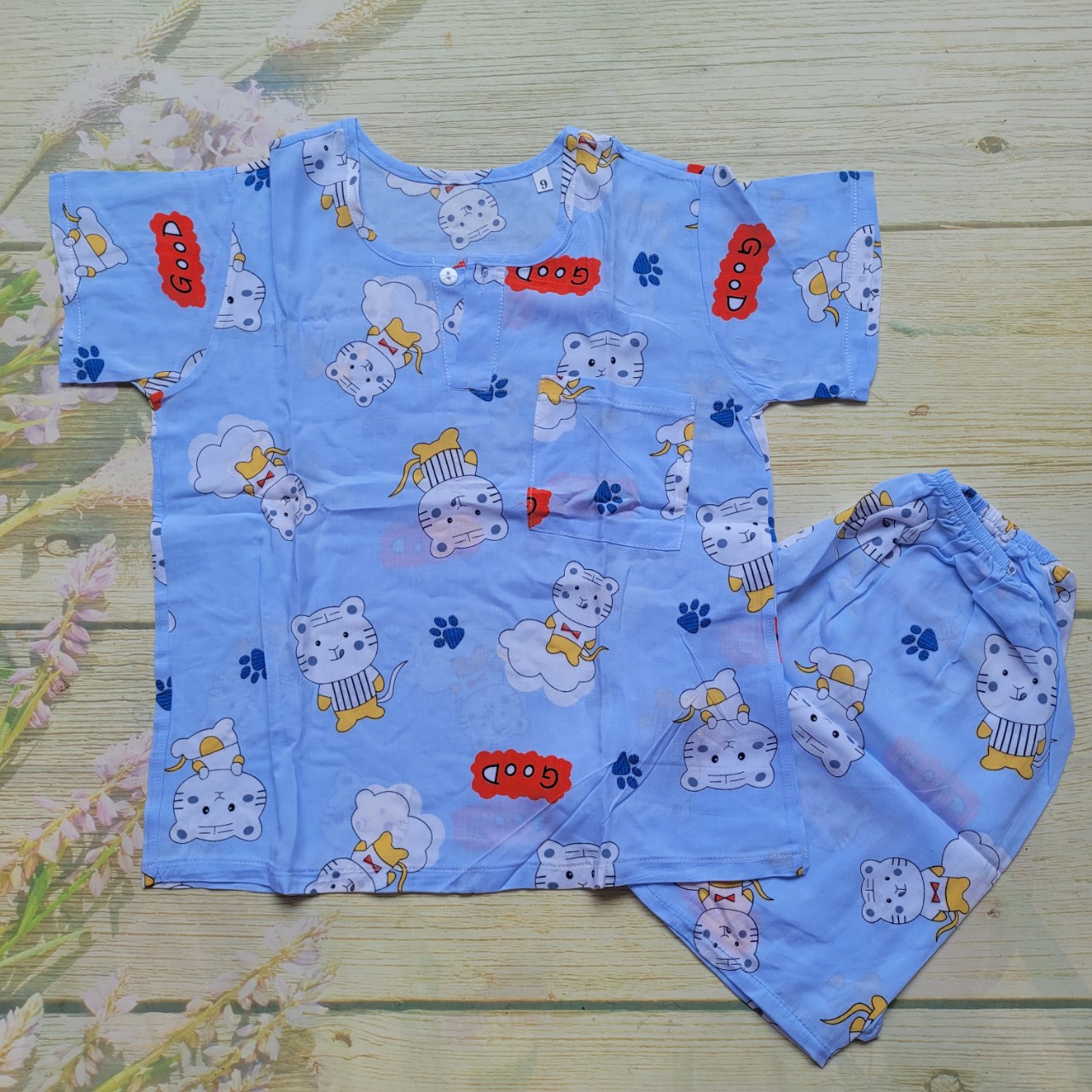 Đồ bộ tole lanh bé trai size 2 . 5 bộ giá sỉ