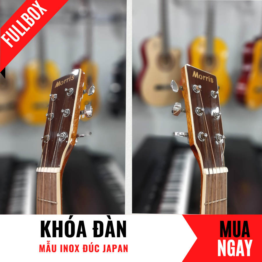 Đàn Guitar Acoustic Morris Bằng Gỗ Đàn Hương Cao Cấp + Phụ Kiện (Size 4/4)