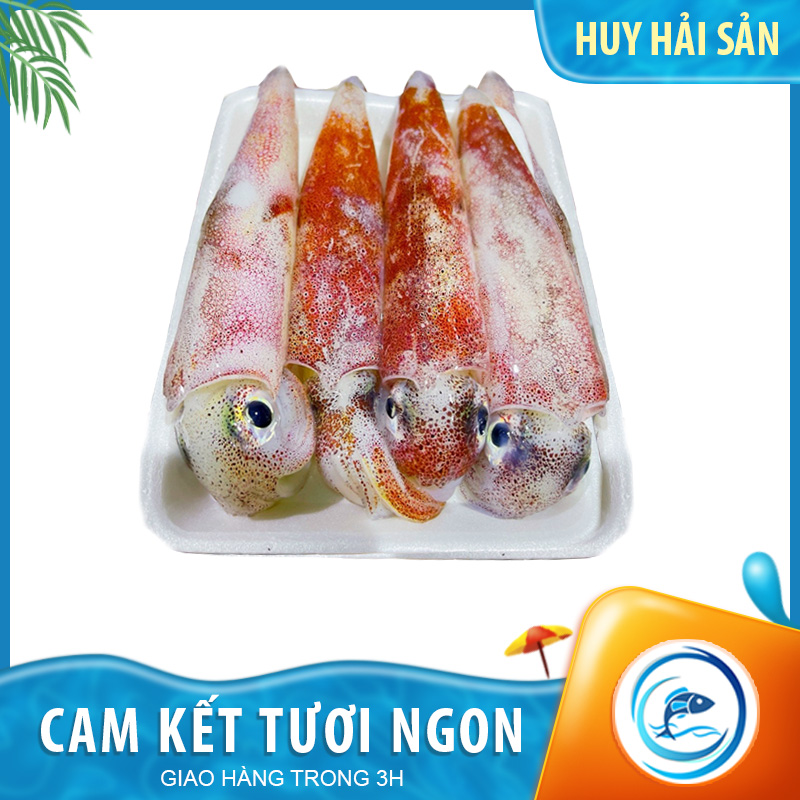 Mực ống mino 6-8 con - Khay 500g