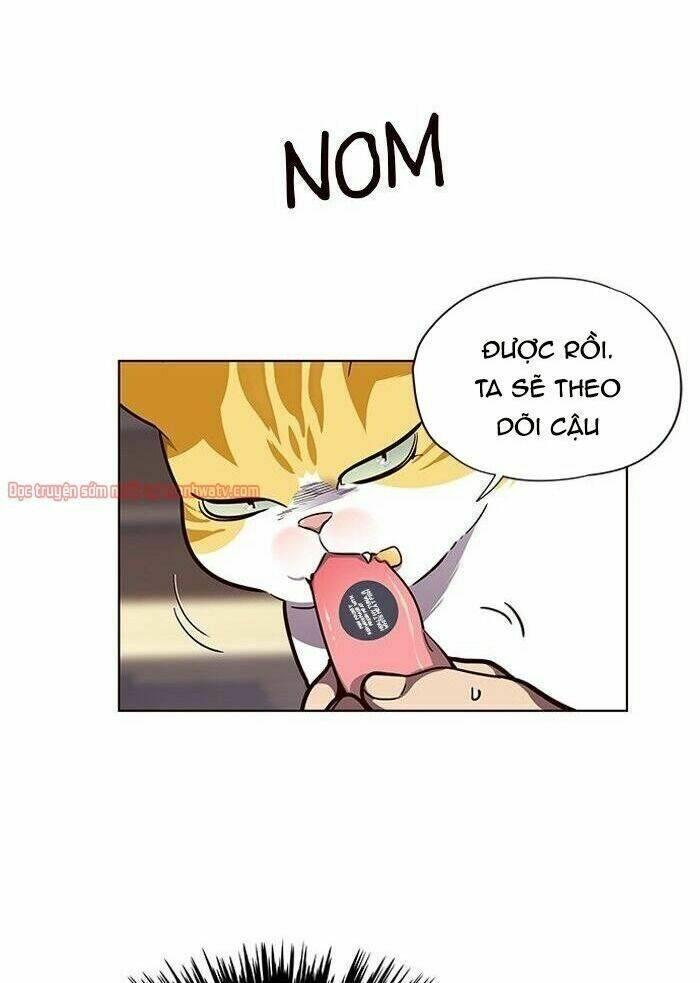 biến thân thành mèo chapter 50 39