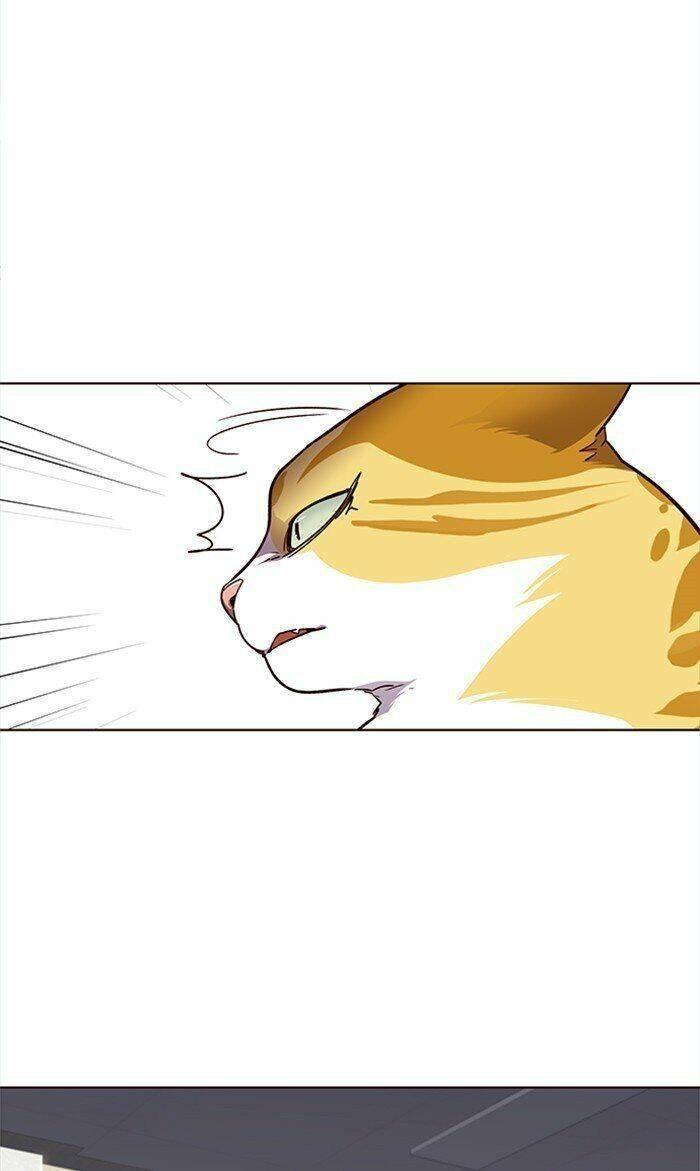 biến thân thành mèo chapter 28 23