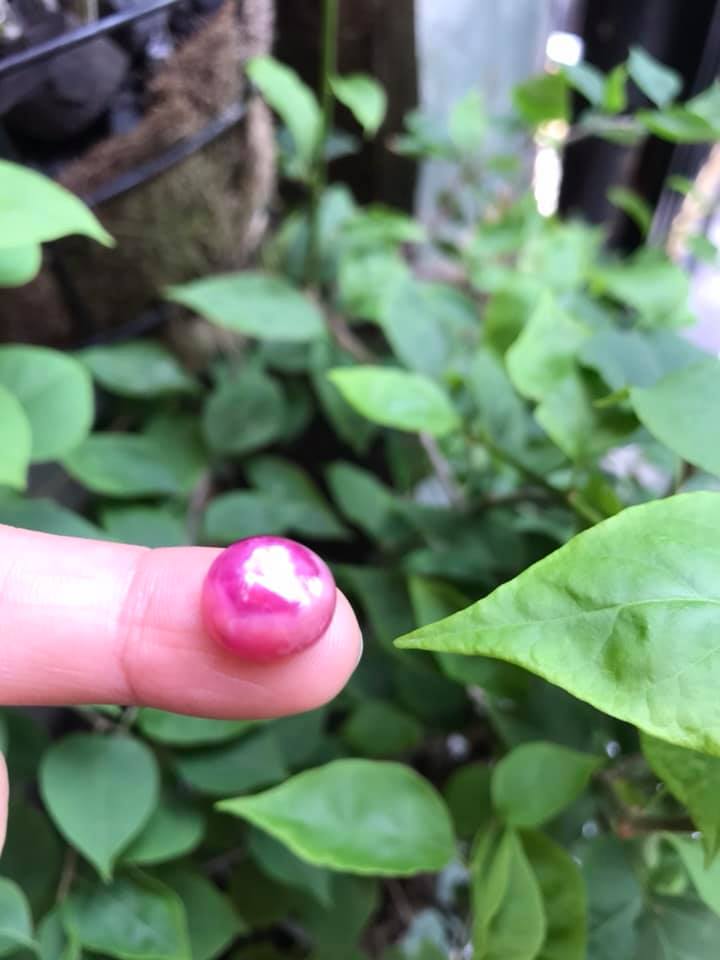 VIÊN ĐÁ RUBBY HỒNG TRÒN ĐẸP NHƯ BÔNG HOA PHÍA TRÊN VIÊN ĐÁ TRÒN DẦY ĐẸP LẮM LUÔN LÀM MẶT NHẪN DÂY CHUYỀN Size DÀI 12mm X NGANG 11mm x DẦY 7mm