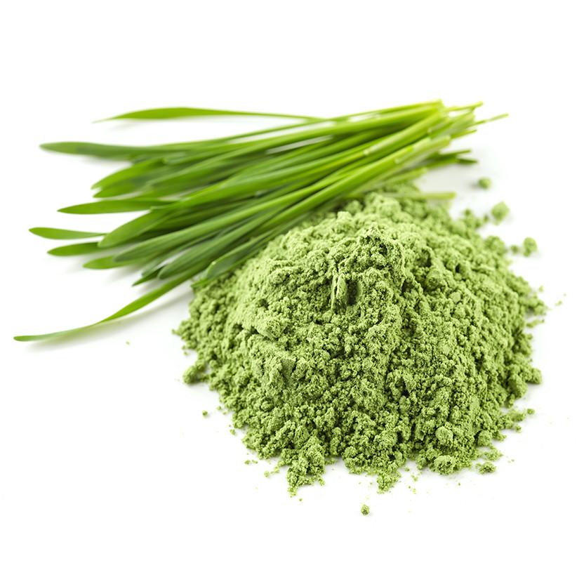 Bột Cỏ Lúa Mì Non Hữu Cơ Diet Food 200g Organic Wheat Grass Powder