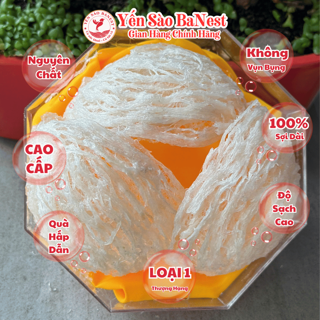 Tổ Yến Sào Tinh Chế Rút Lông Nguyên Xương THƯỢNG HẠNG 100% Sợi Tặng kèm đủ vị chưng - Yến Sào BaNest