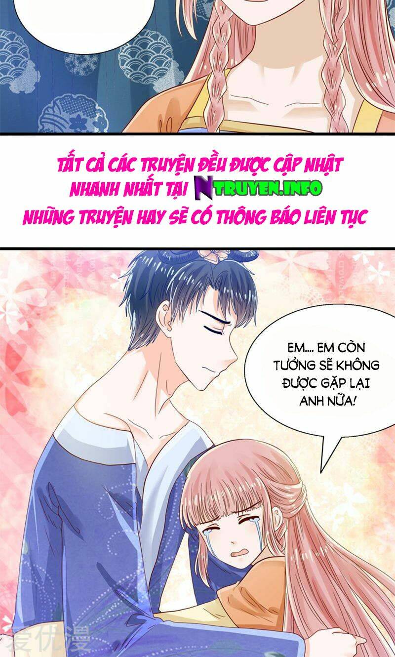 tôi bị gấu trúc nhìn trúng rồi chapter 26 23