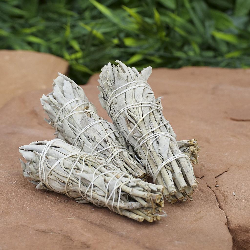 {Bó dùng thử} Xô Thơm Trắng Thanh Tẩy [ White Sage