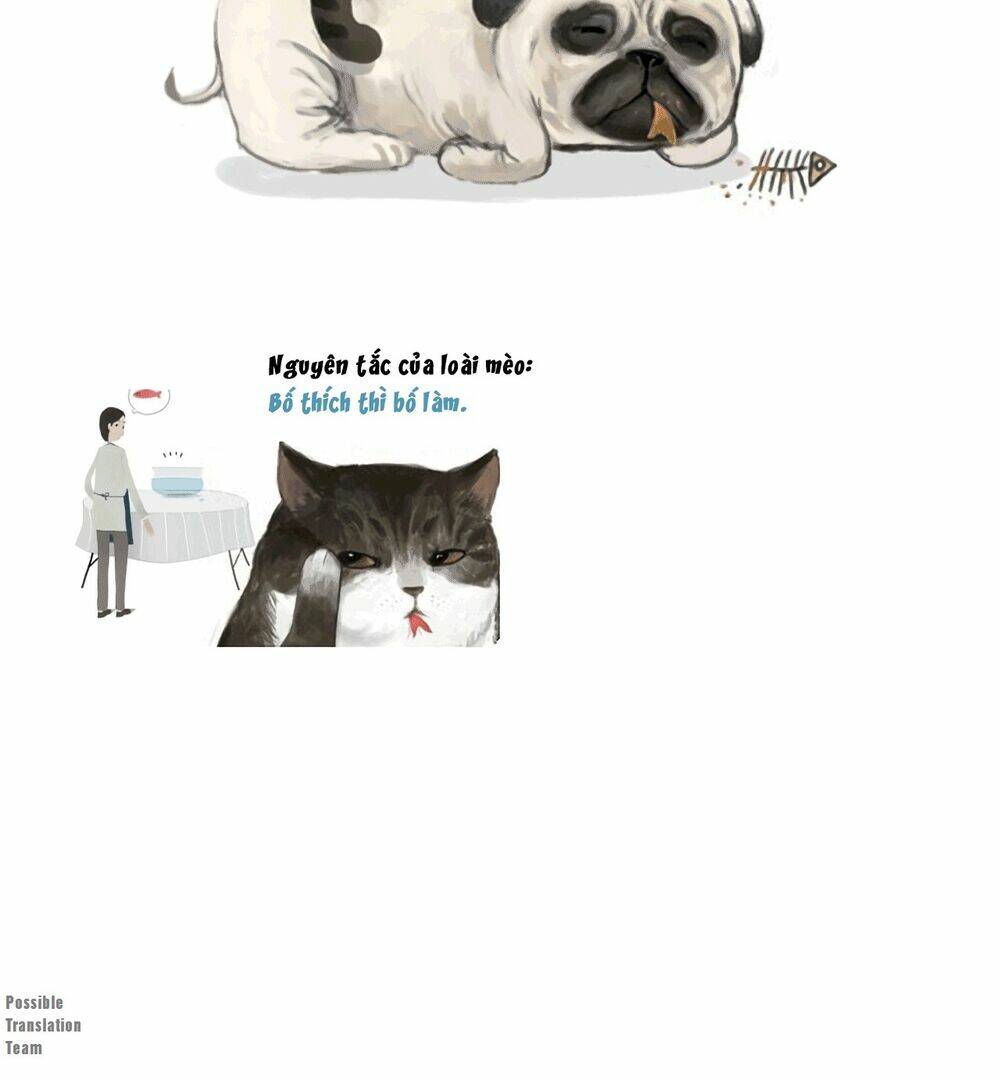 biết là ghét đấy, nhưng không thể buông bỏ chapter 3 8