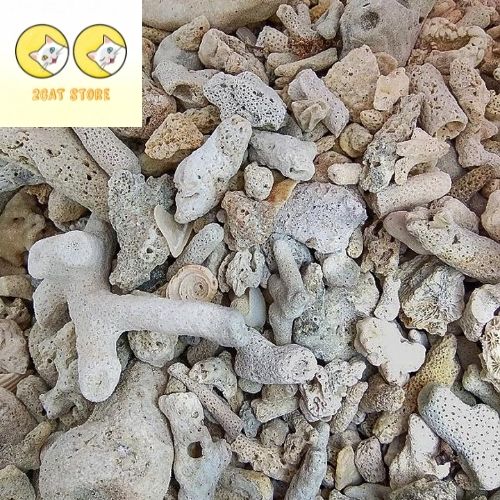 San hô vụn lọc nước bể cá 5kg