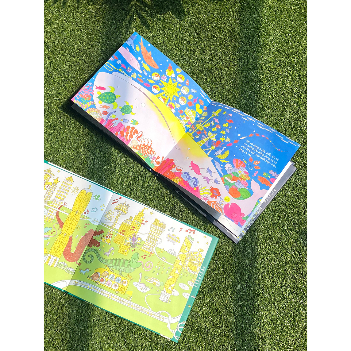 Sách Những người bạn của Mặt Trăng