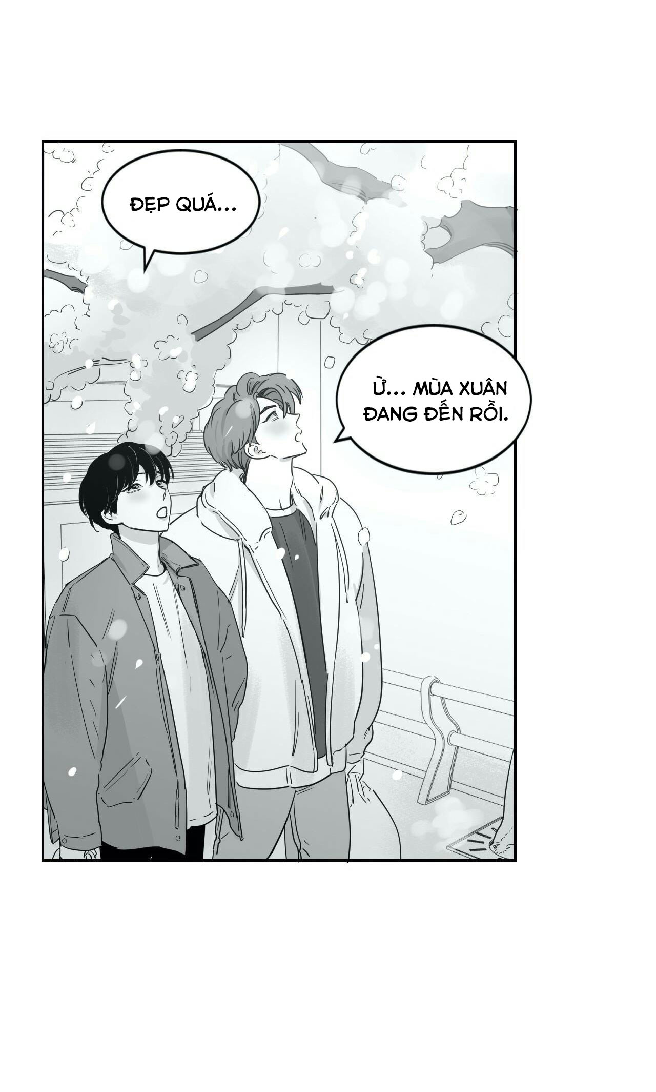 hyesung à, lại gần tôi nào! chapter 22 4