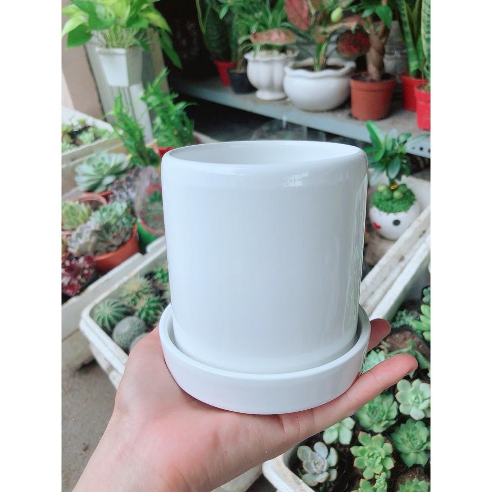 Chậu kiểu tráng men cao cấp 13x14cm