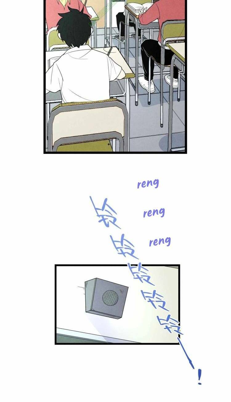 tu chân cuồng thiếu tại vườn trường chapter 27 16