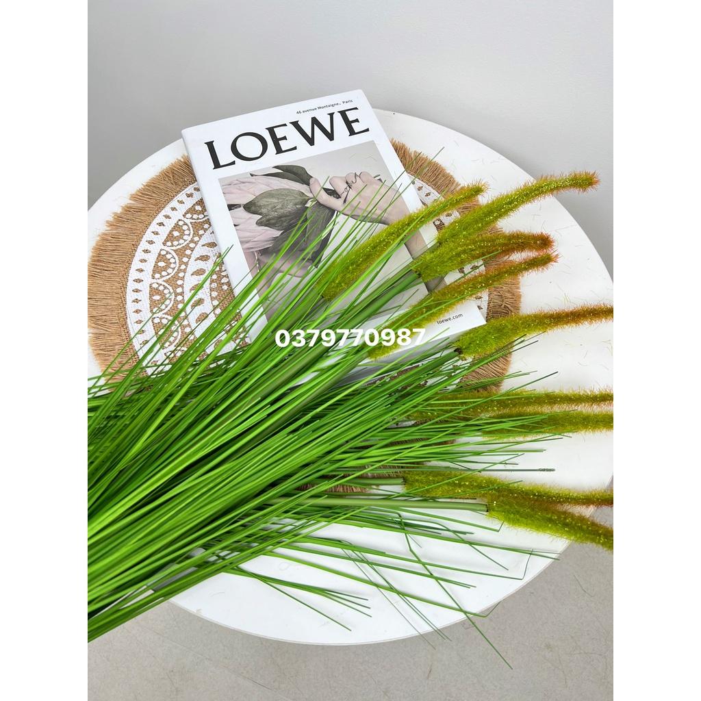 Bông lau decor cao cấp