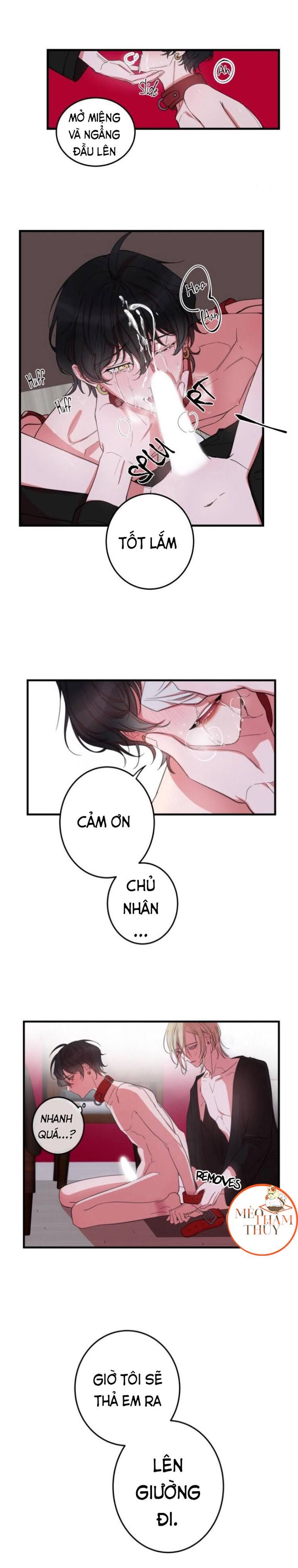 khẩu vị và sự tôn thờ của người yêu tôi chapter 4 12