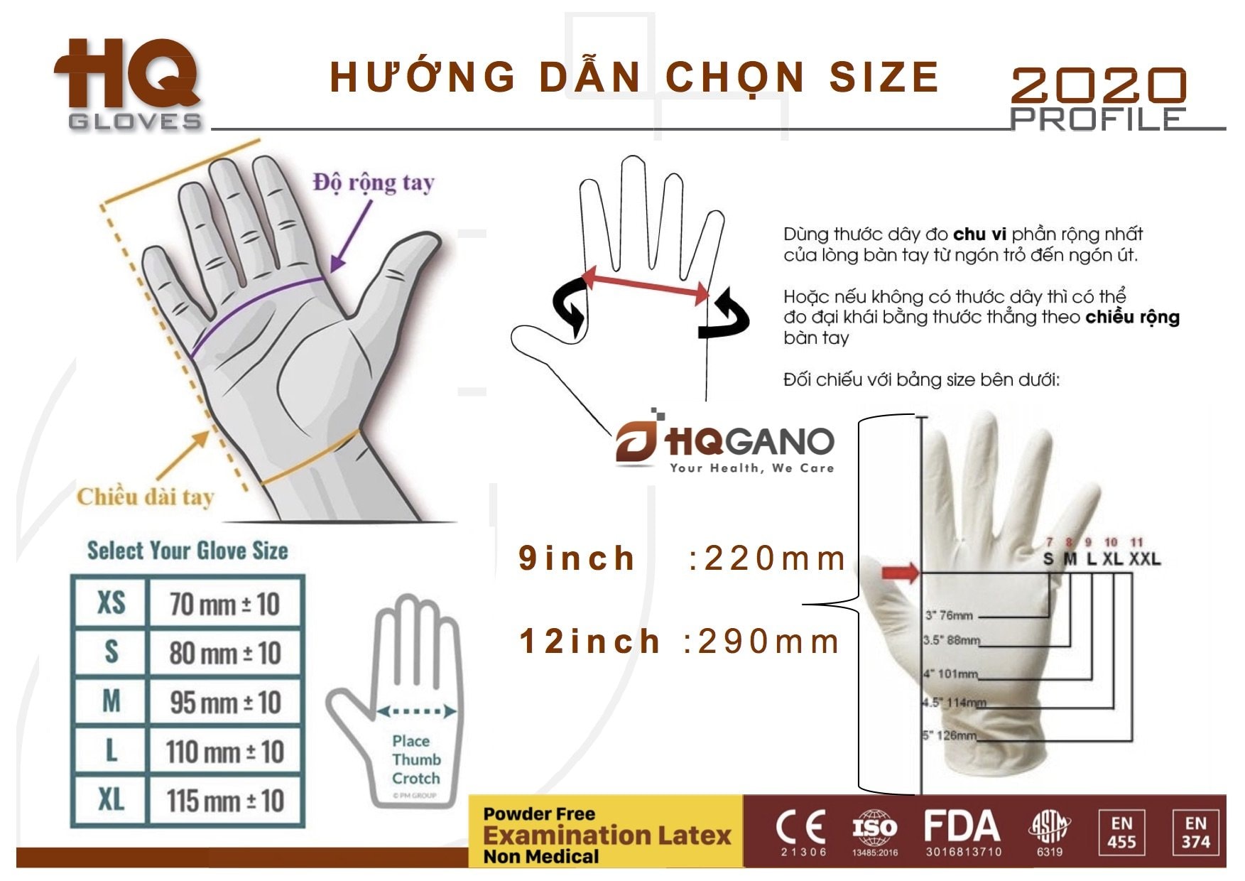 Găng Tay Y Tế HQ Gloves, Có Bột Không Bo, Hộp 100 Cái