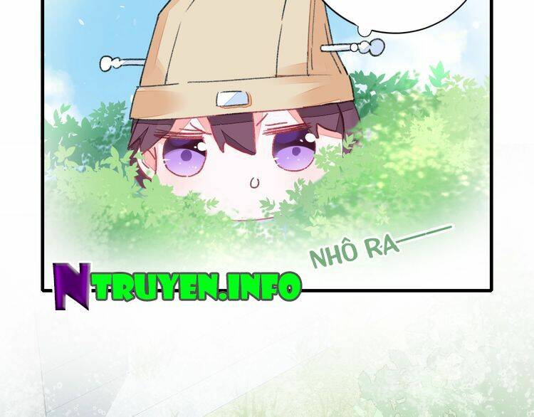 hoa nhan sách chapter 74.2 40