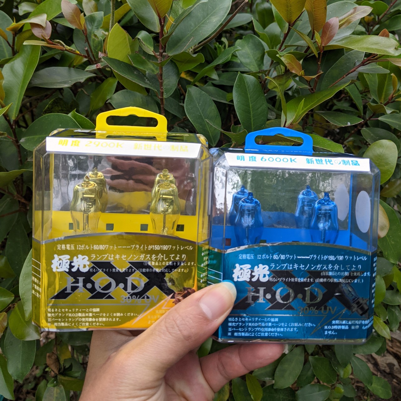 Set bộ 2 bóng đèn pha Xenon ô tô xe máy siêu sáng H4 100W HOD 6000K siêu bền, phụ kiện đồ chơi xe hơi