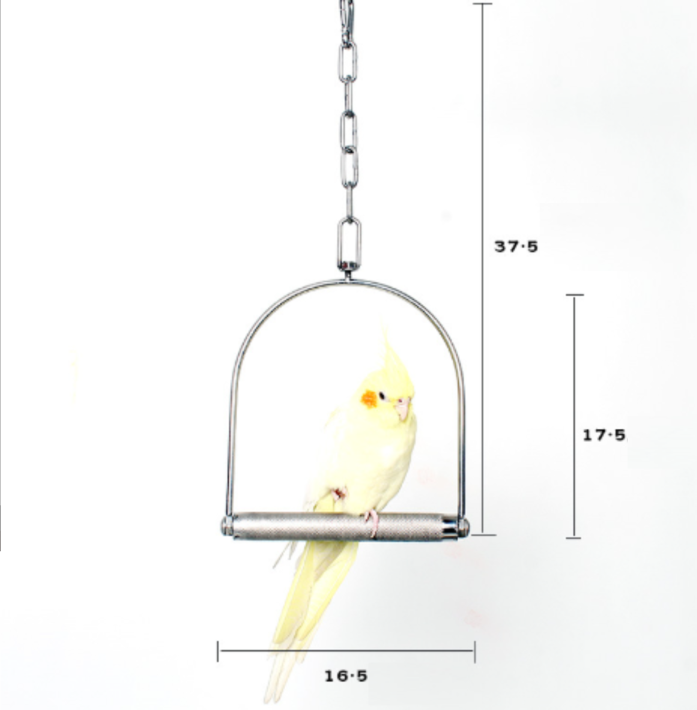 1 xích đu inox cao cấp nhập khẩu (phù hợp cho mọi dòng vẹt)có thanh ngang nhám mài móng