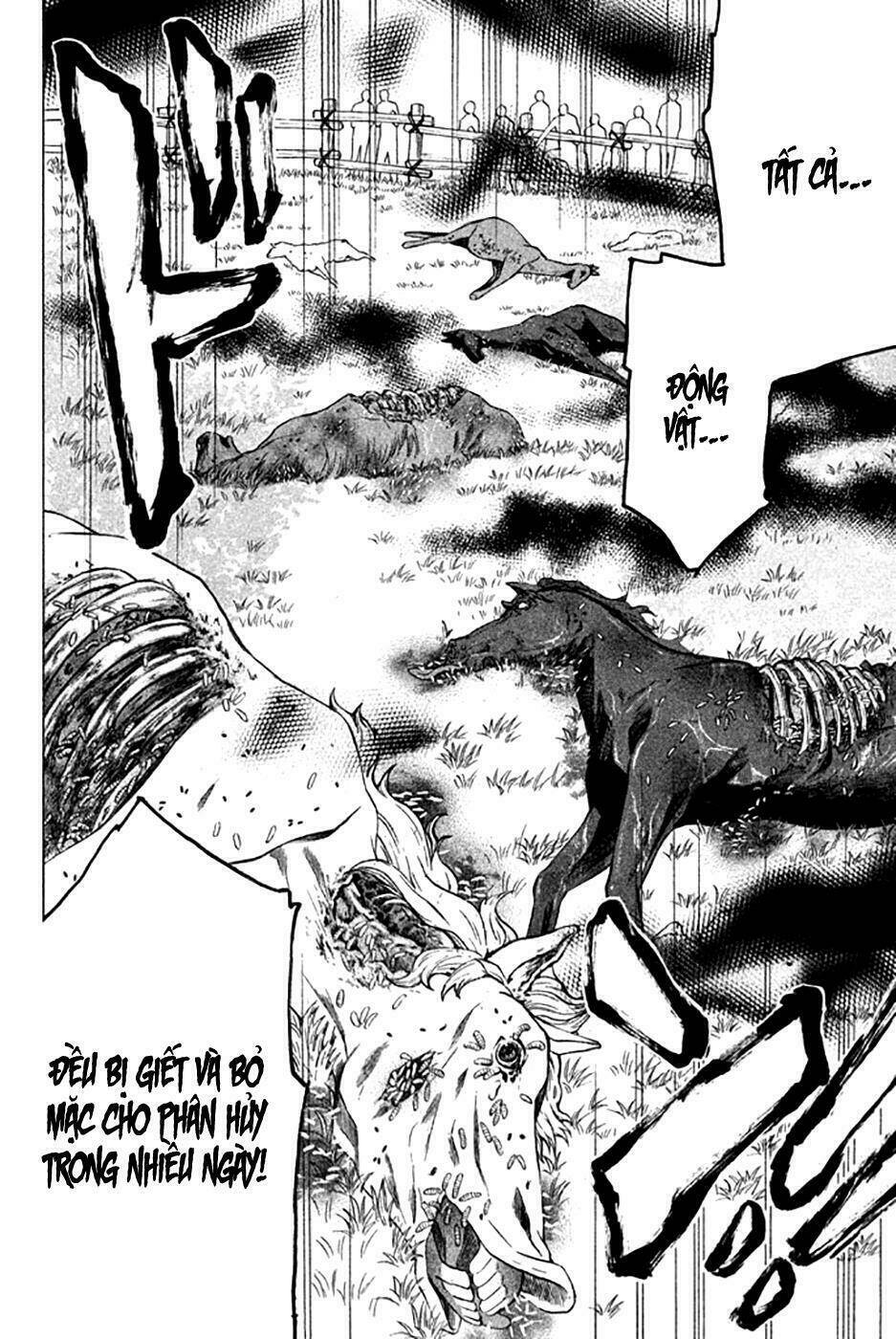 hell’s kitchen chapter 49 43