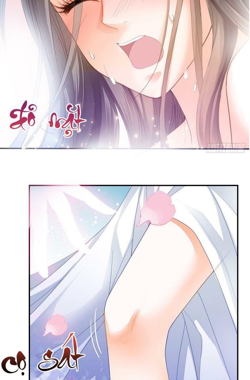 bổn vương muốn nàng chapter 11 19