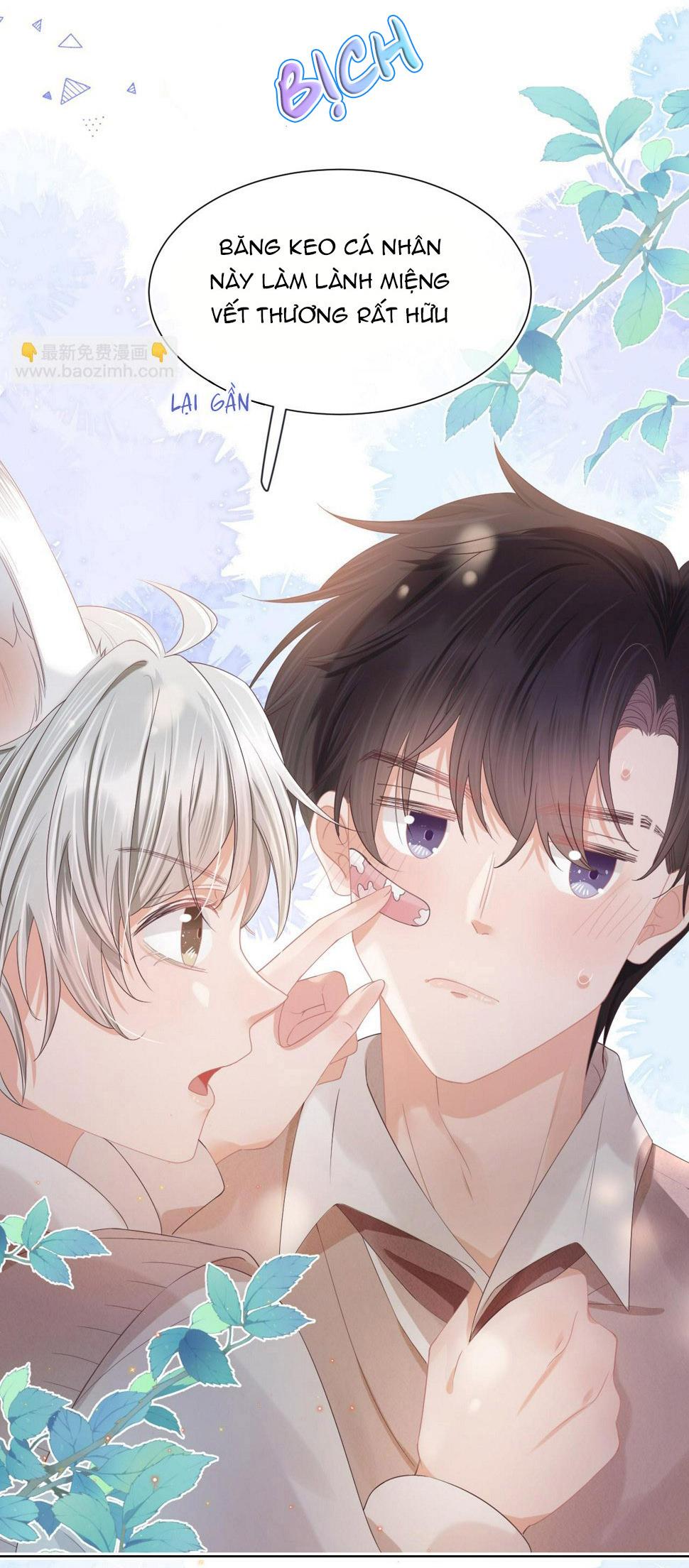 [ss2] một ngụm ăn cả thỏ con chapter 28 29