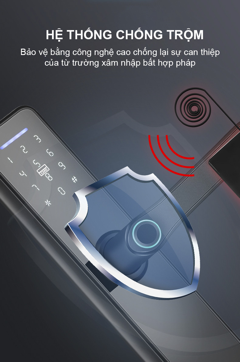 Khóa vân tay Smart Lockdoor Homesheel L2