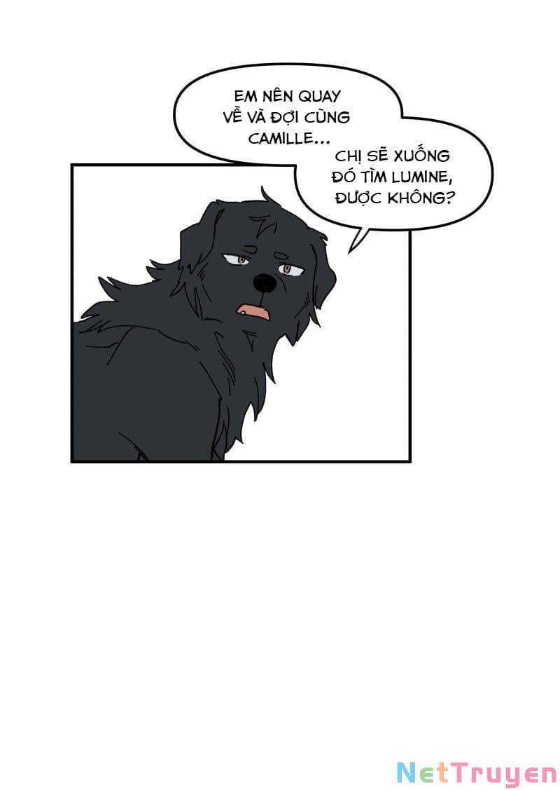lumine - cội nguồn ánh sáng chapter 159 20