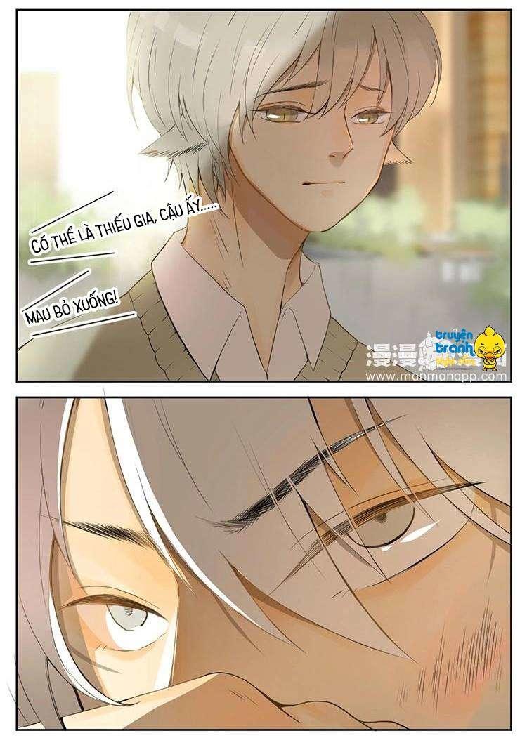 cứu mạng ! loài mèo thống trị thế giới rồi ! chapter 28 9