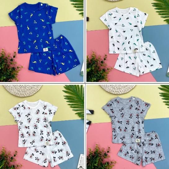 BỘ COTTON SƠ SINH CÚC VAI CỘC TAY CHO BÉ TRAI BÉ GÁI 3-18M