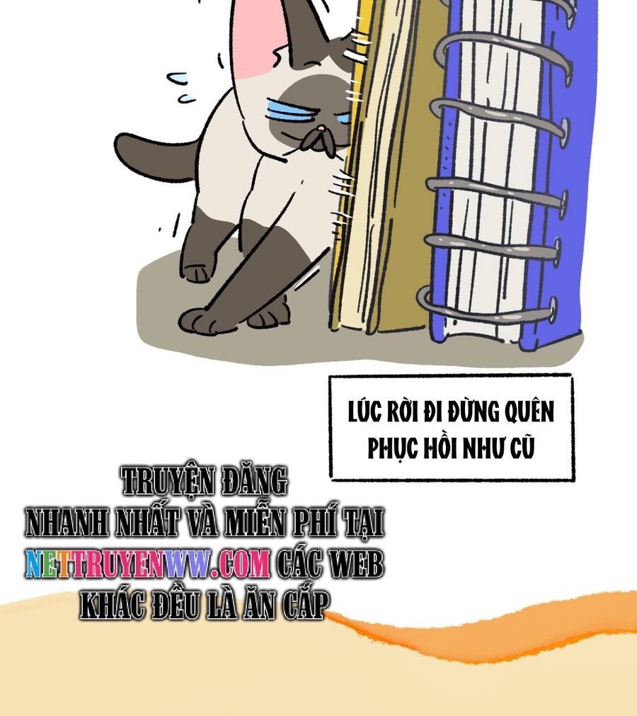 a mãn và mạch trà chapter 186 9