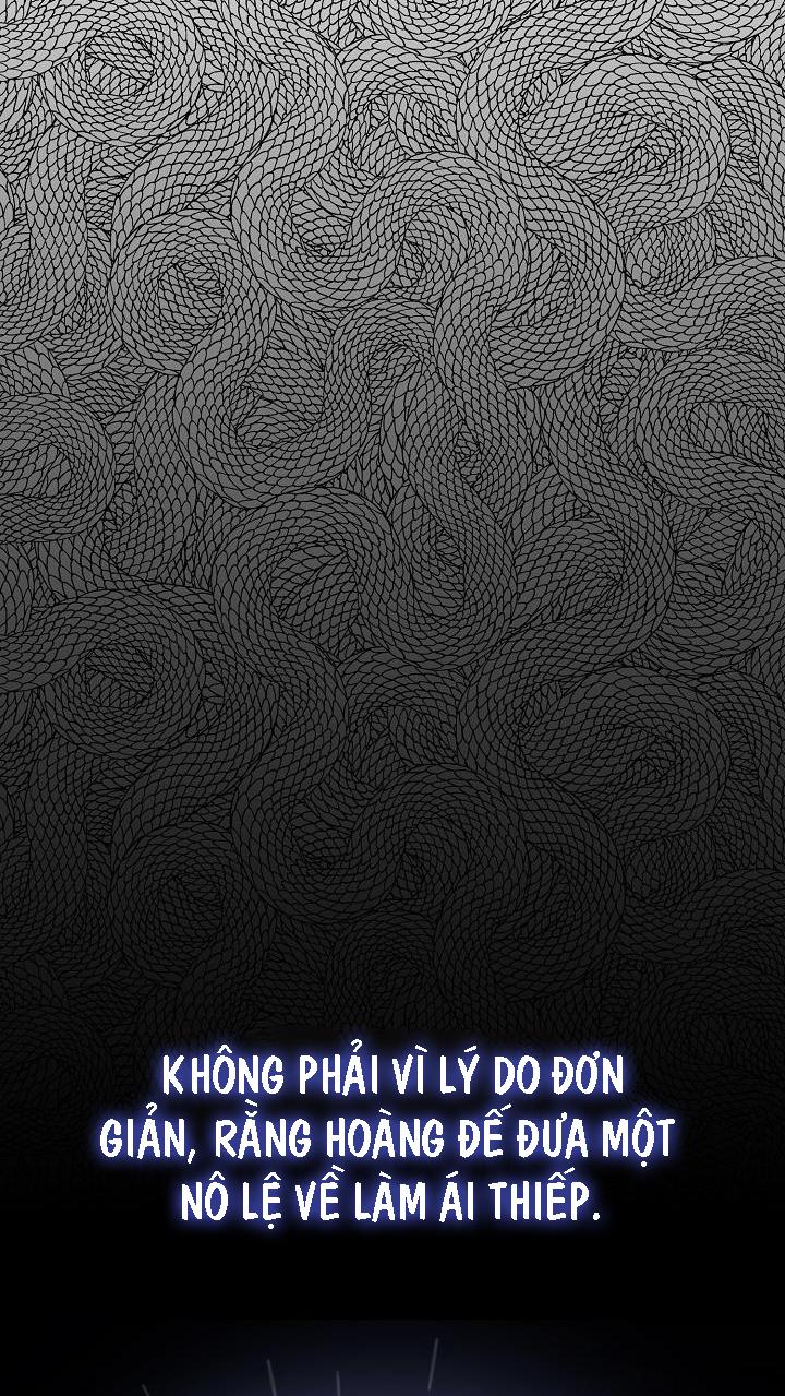 hai đất nước, đất nước của nô lệ chapter 20 11